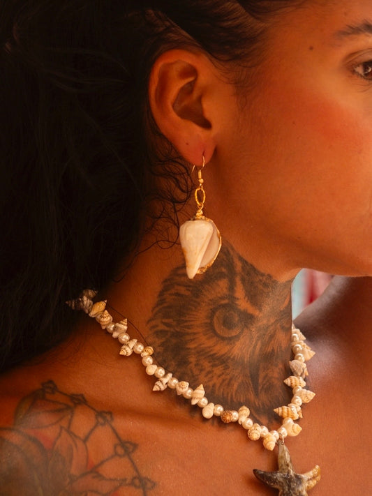 Par de brincos mini concha