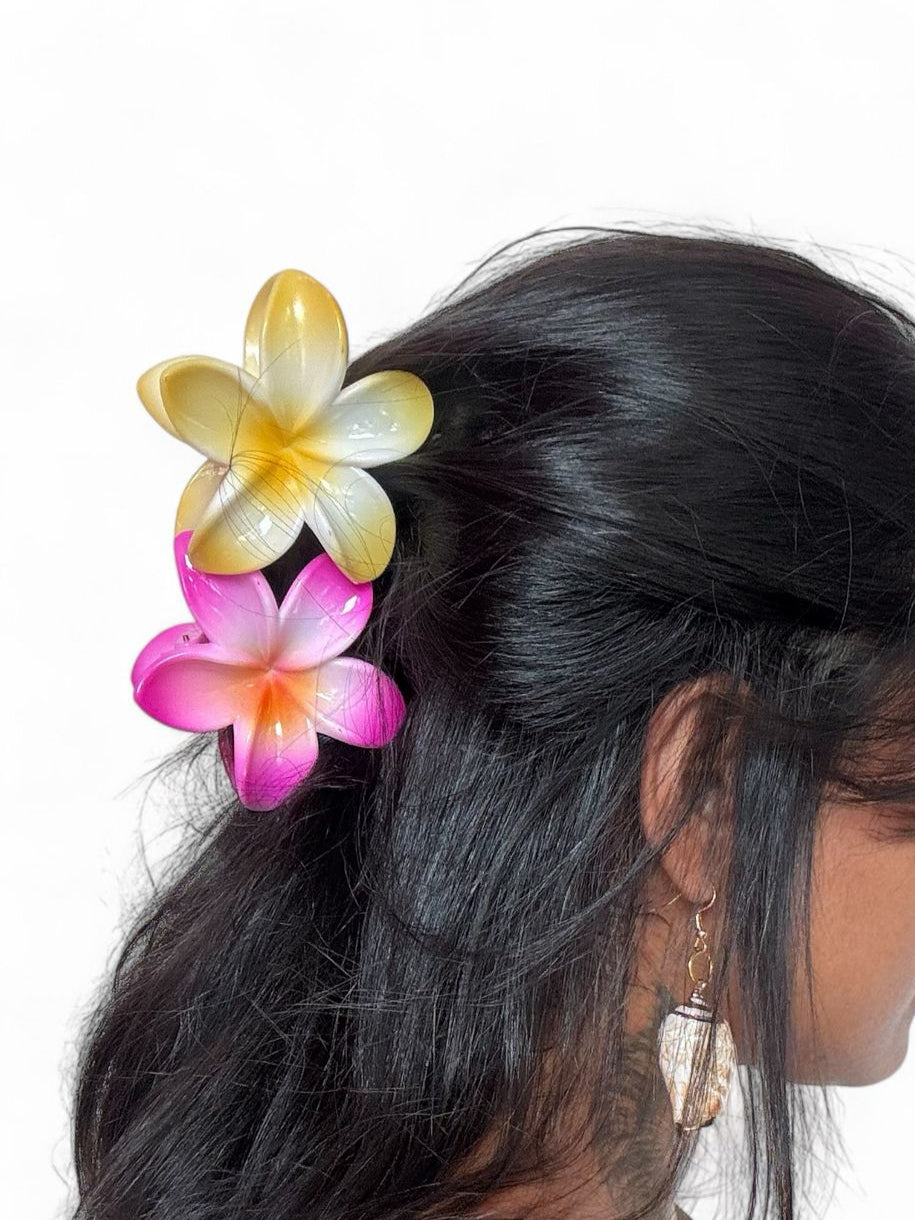 Prendedores diversos Grande - Brindes colecionáveis