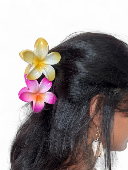 Prendedores diversos Grande - Brindes colecionáveis